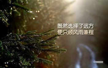 沉下心做自己的事！(圖文)